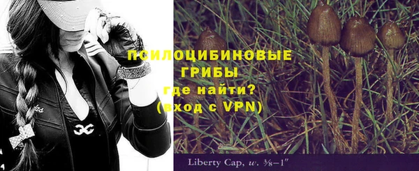 альфа пвп Куйбышев