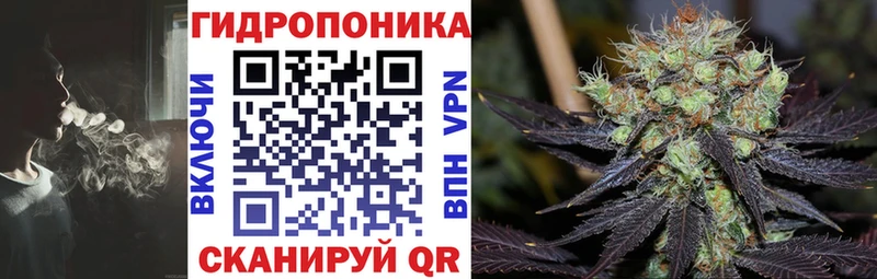 купить цена Дыгулыбгей Конопля план